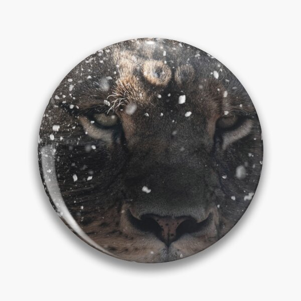 Item preview, The lion in snow designed and sold by Libor Paulík.