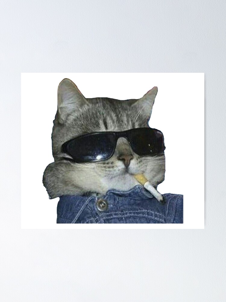 El uno al otro James Dyson veredicto Póster «divertido gato con gafas de sol, idea de regalo para los amantes de  los gatos, gato con gafas» de Elonshop | Redbubble
