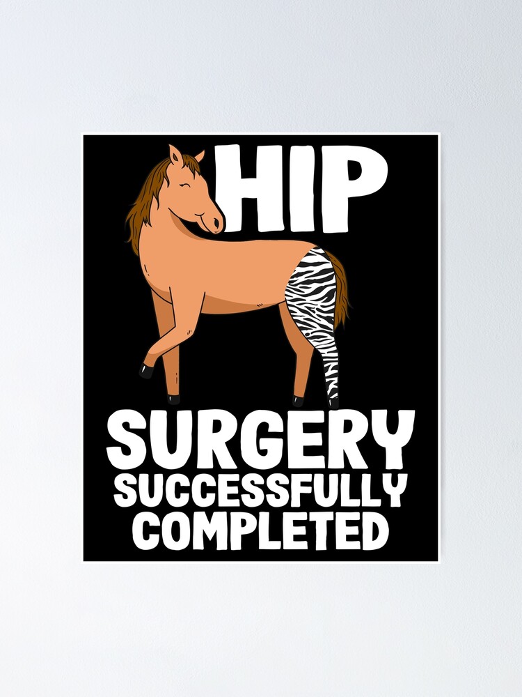 "Horse Zebra Hip Surgery Successfully Completed" Poster for Sale by