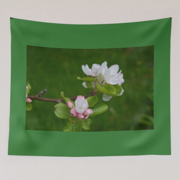 Item preview, Spring pink and white apple flowers in green background designed and sold by naturematters.