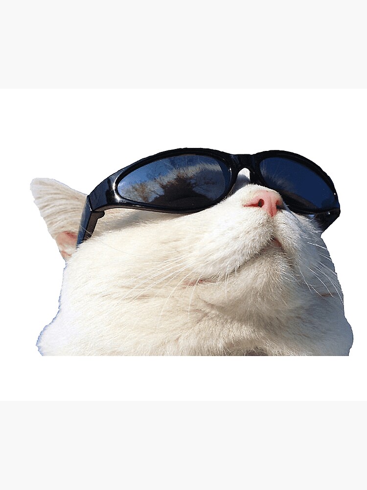 Impression photo for Sale avec l'œuvre « chat drôle portant des