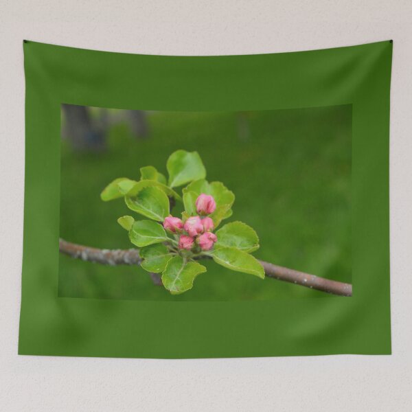 Item preview, Spring pink apple flower buds  in green background designed and sold by naturematters.