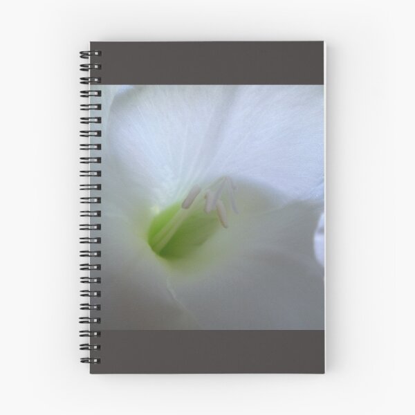 Item preview, Gladioli designed and sold by AngelaJCartner.