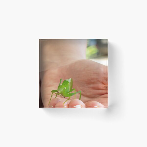Item preview, A Surprising Visitor designed and sold by darren-j-mcleod.