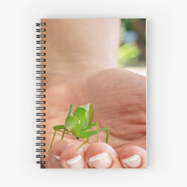 Item preview, A Surprising Visitor designed and sold by darren-j-mcleod.