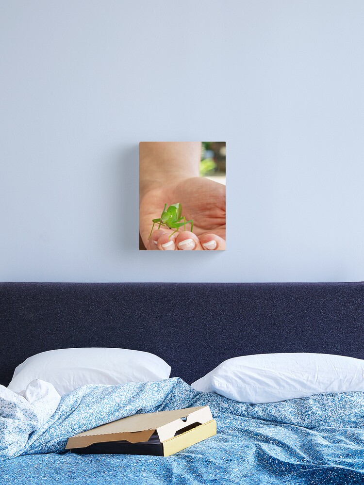 Thumbnail 2 of 3, Canvas Print, A Surprising Visitor designed and sold by darren-j-mcleod.