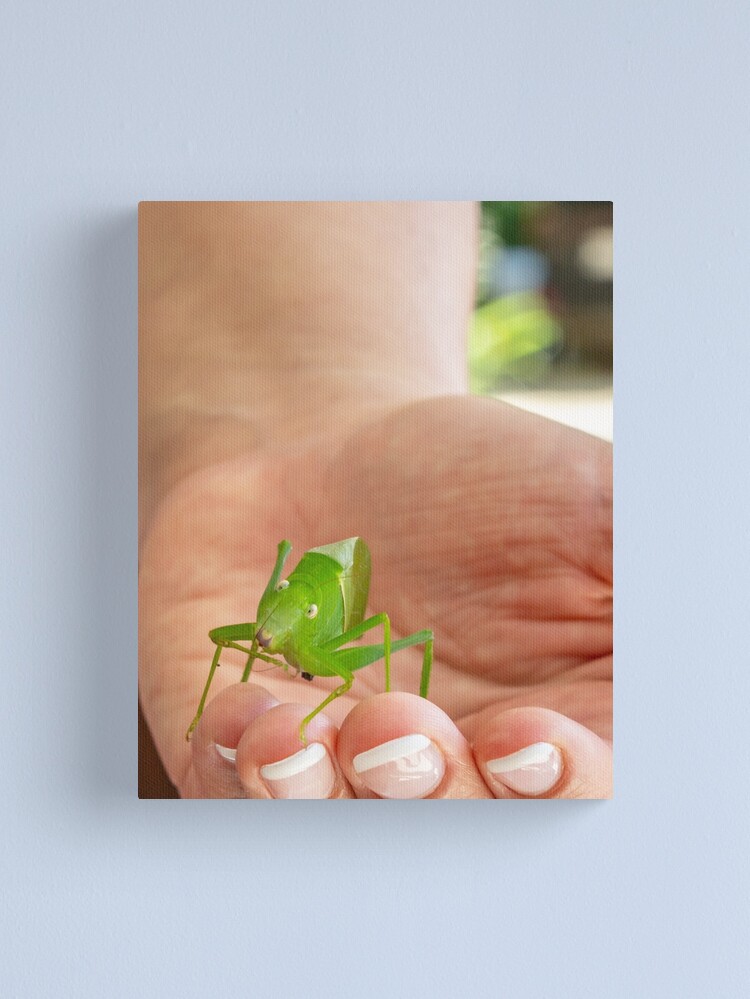 Thumbnail 1 of 3, Canvas Print, A Surprising Visitor designed and sold by darren-j-mcleod.