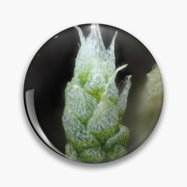 Item preview, Moss under the microscope designed and sold by SDym Photography.