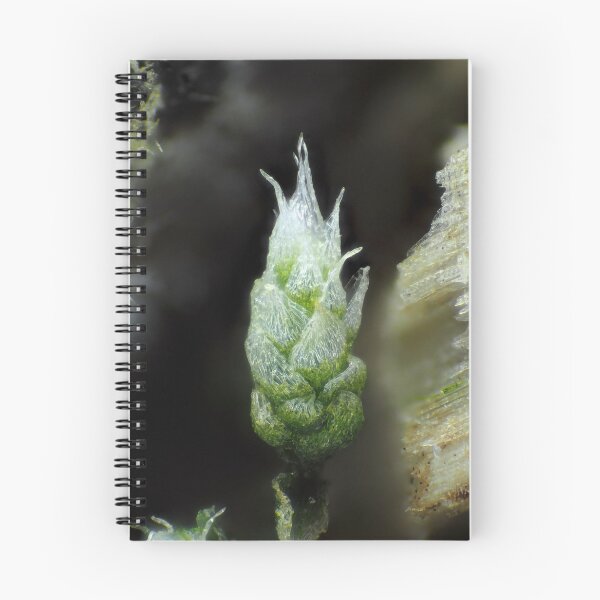 Item preview, Moss under the microscope designed and sold by SDym Photography.