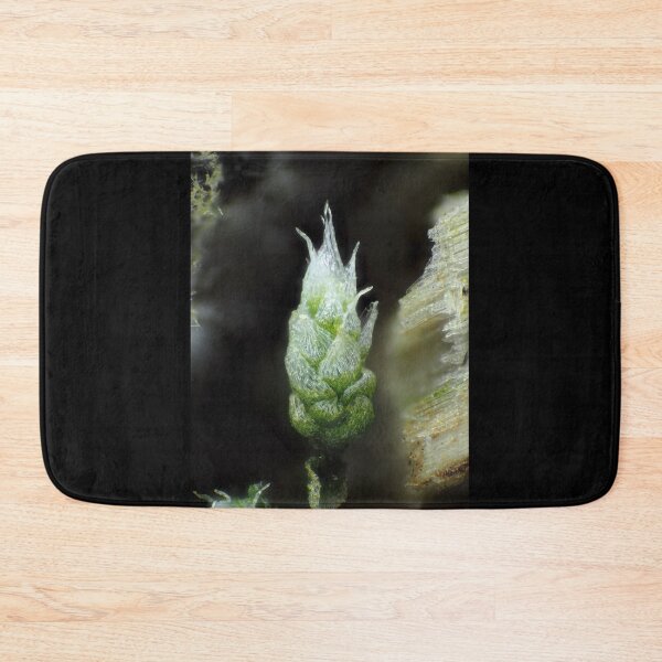 Item preview, Moss under the microscope designed and sold by SDym Photography.