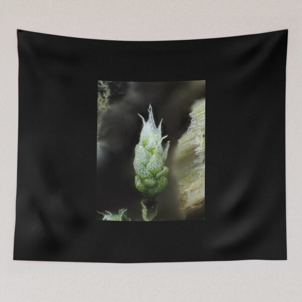 Item preview, Moss under the microscope designed and sold by SDym Photography.