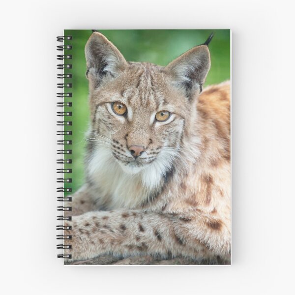 Item preview, eurasian lynx canvas, eurasian lynx, animal, animals,  eurasian lynx wall art,  eurasian lynx artwork, wild, eurasian lynx art,  eurasian lynx painting designed and sold by eyesight4vision.