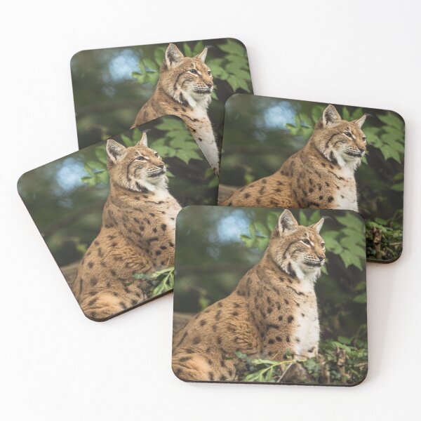 Item preview,  eurasian lynx canvas, eurasian lynx, animal, animals,  eurasian lynx wall art,  eurasian lynx artwork, wild, eurasian lynx art,  eurasian lynx painting designed and sold by eyesight4vision.