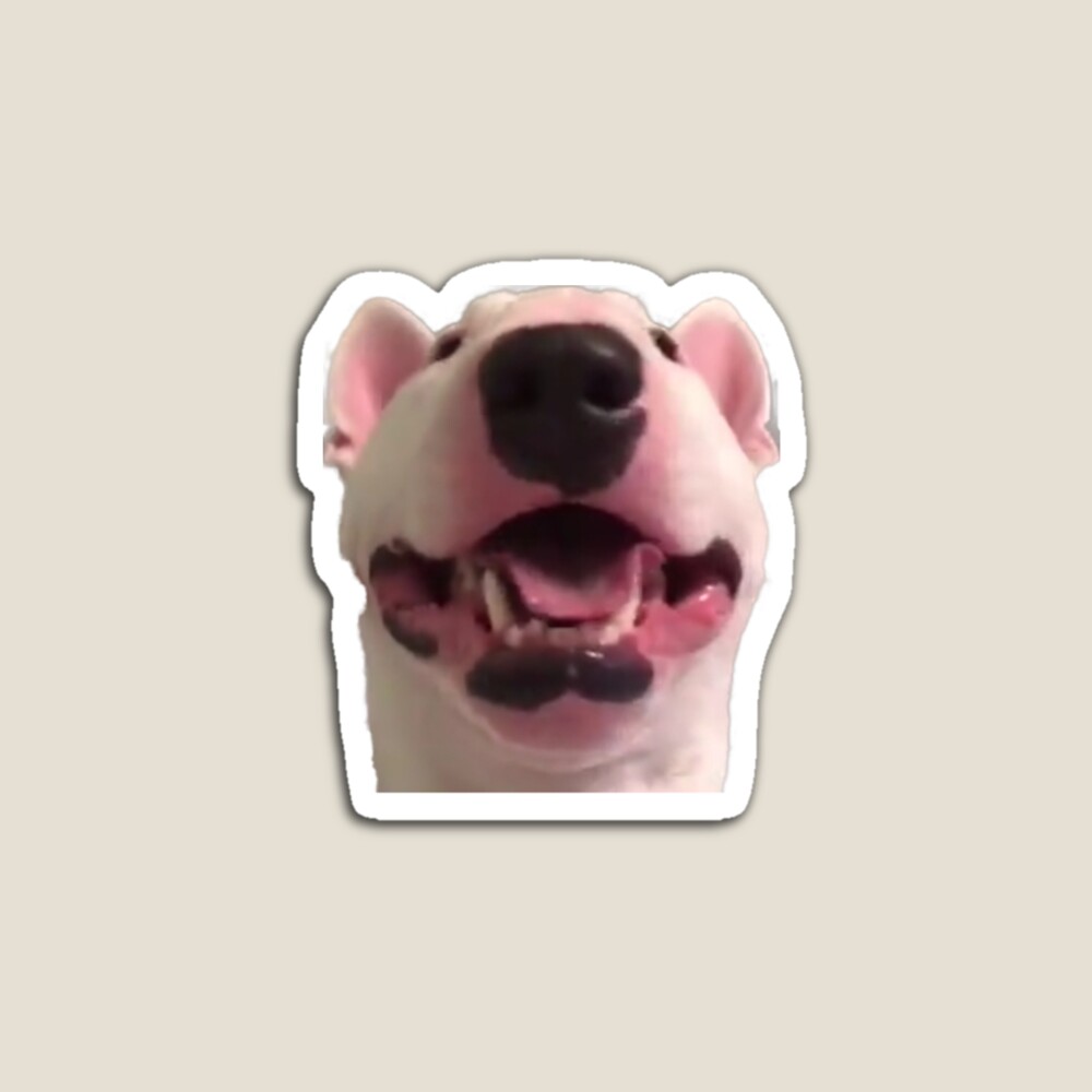 troll face doge PNG : r/dogelore