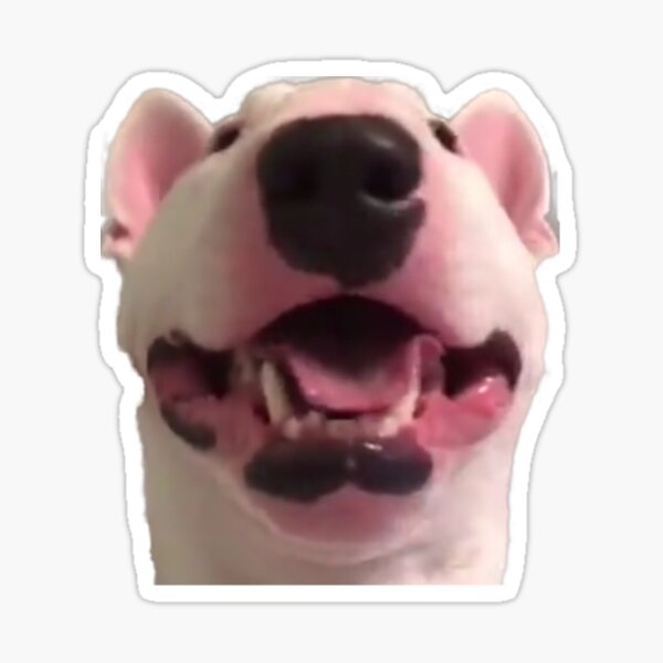 troll face doge PNG : r/dogelore