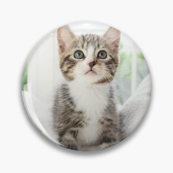 Item preview, Super cute kitten designed and sold by ideas favoritas.