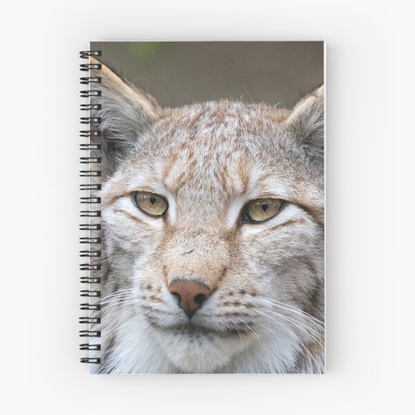 Artikelvorschau, eurasian lynx canvas, eurasian lynx, tier, tiere, eurasian lynx wandkunst, eurasian lynx kunstwerk, wild, eurasian lynx art, eurasian lynx malerei entworfen und verkauft von eyesight4vision.