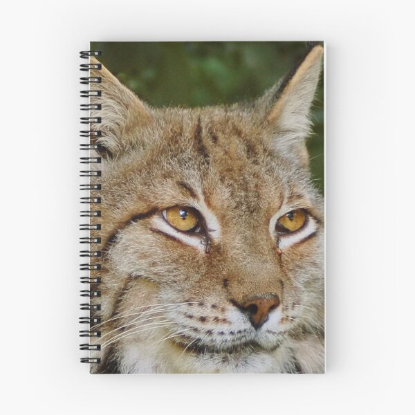 Item preview,  eurasian lynx canvas, eurasian lynx, animal, animals,  eurasian lynx wall art,  eurasian lynx artwork, wild, eurasian lynx art,  eurasian lynx painting designed and sold by eyesight4vision.