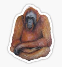 Wild Orangutan Drawing Sticker