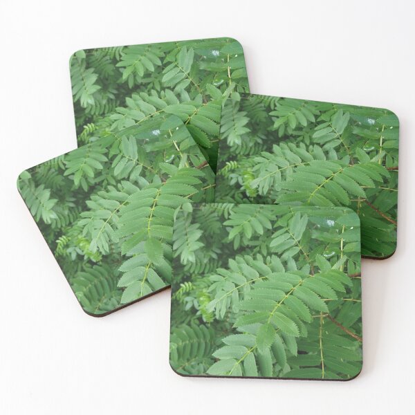 Item preview, Almost Fern designed and sold by Djjin66.
