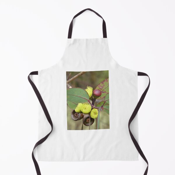 Item preview, Gum Blossom & Gumnuts (Eucalyptus), Bega Valley, Australia designed and sold by Cobargo South Coast.