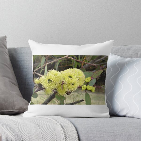 Item preview, Gum Blossoms (Eucalyptus), Bega Valley, NSW, Australia designed and sold by Cobargo South Coast.