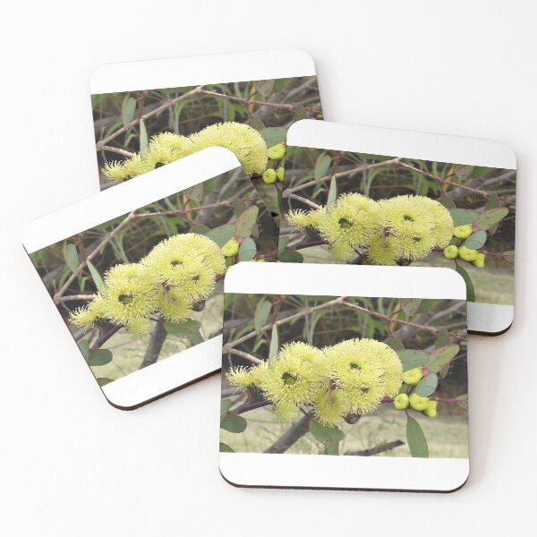 Item preview, Gum Blossoms (Eucalyptus), Bega Valley, NSW, Australia designed and sold by Cobargo South Coast.