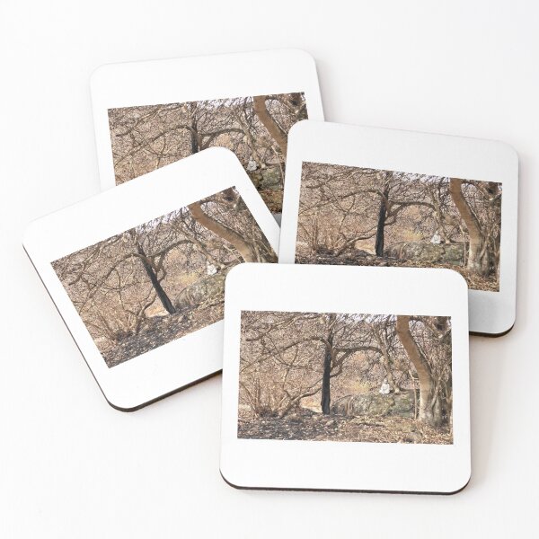 Item preview, 2019-2020 Bushfires, Bega Valley, NSW, Australia designed and sold by Cobargo South Coast.