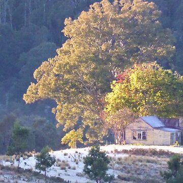 Imagen de la obra Farm house, Bega Valley, NSW, Australia de Cobargo South Coast