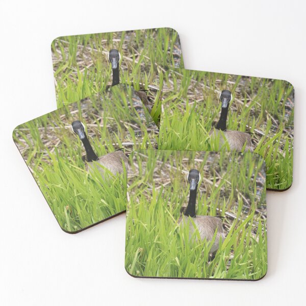 Item preview, Canadian Geese the Stalker designed and sold by Naz-unedited.
