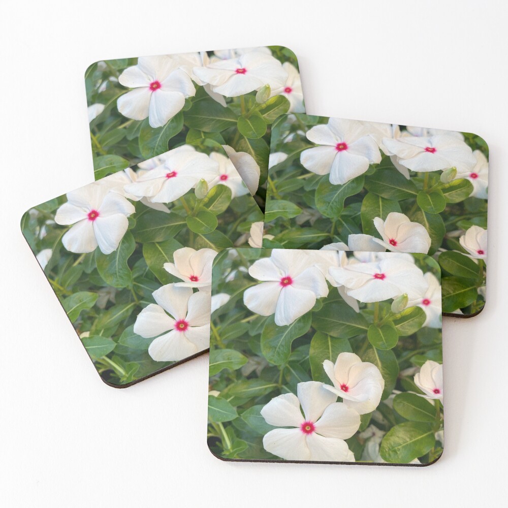Item preview, Coasters (Set of 4) designed and sold by Coconuts20.