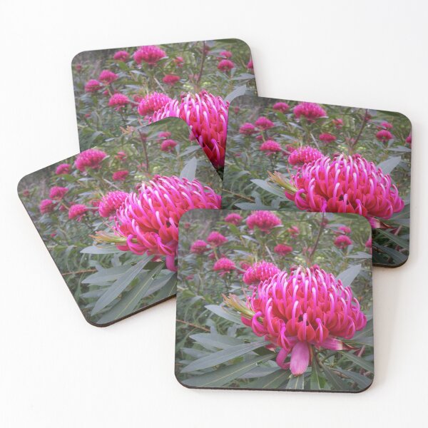 Item preview, Waratah (Telopea), NSW, Australia designed and sold by Cobargo South Coast.