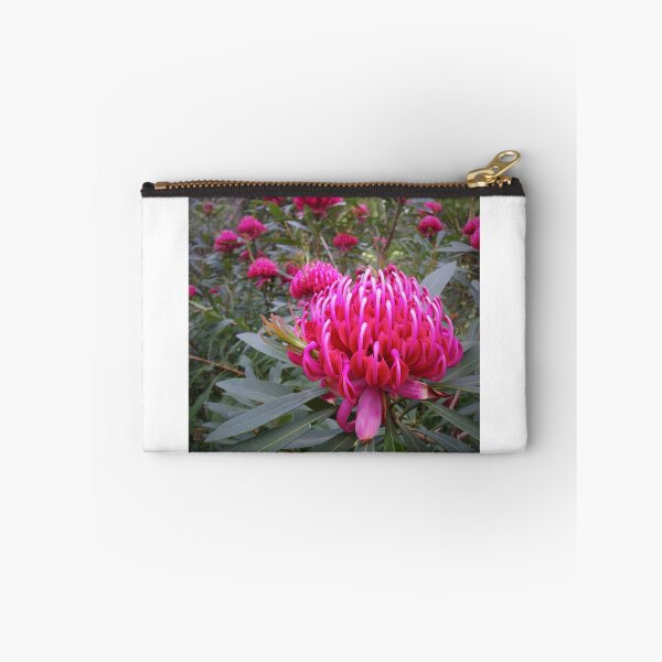 Item preview, Waratah (Telopea), NSW, Australia designed and sold by Cobargo South Coast.