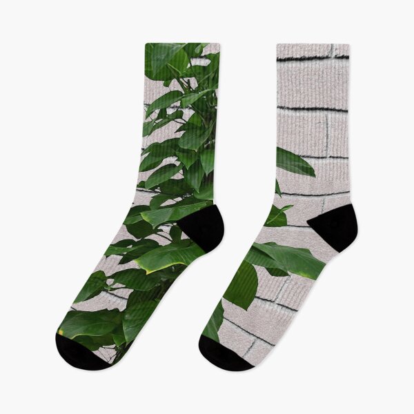 Item preview, Metro botanical designed and sold by peggieprints.