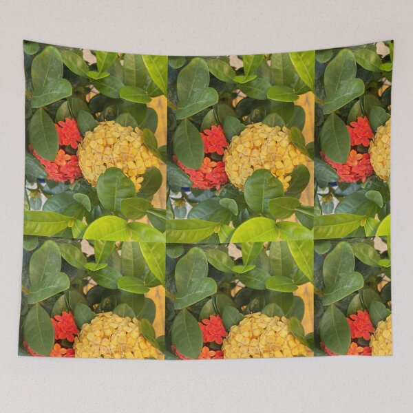 Item preview, oneina1 designed and sold by Coconuts20.