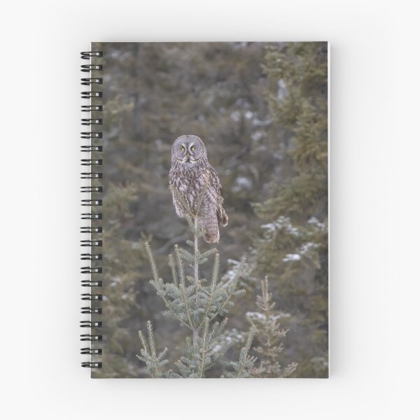 Item preview, I see you! designed and sold by Yvette  Schneider.