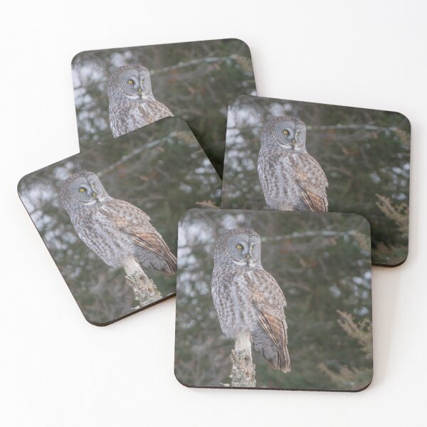 Item preview, Great Gray Owl designed and sold by Yvette  Schneider.