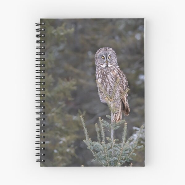 Item preview, Those Eyes! designed and sold by Yvette  Schneider.