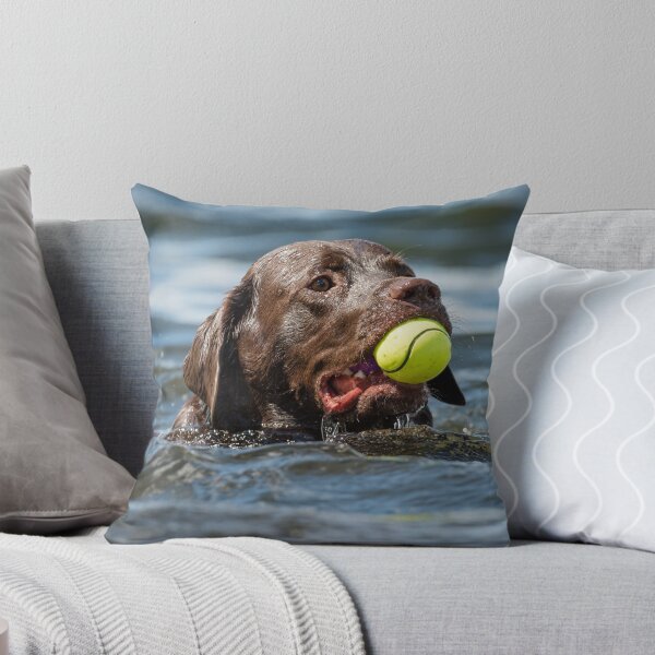 Item preview, Retrieving a tennis ball designed and sold by alan tunnicliffe.
