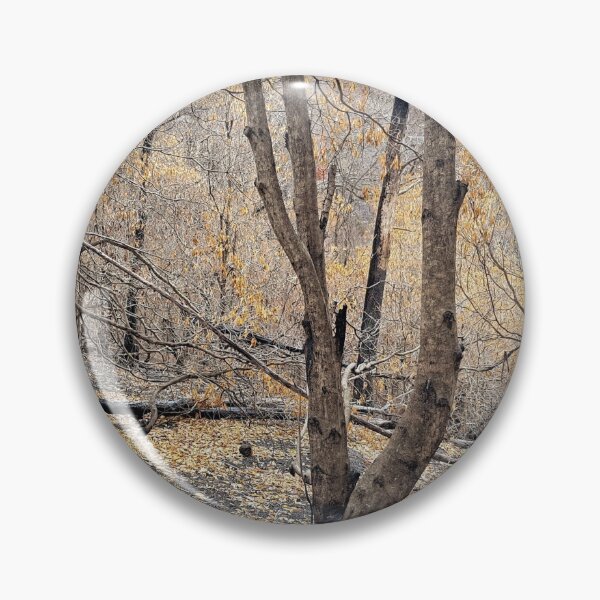 Item preview, 2019-2020 Bushfires. Bega Valley, NSW, Australia designed and sold by Cobargo South Coast.