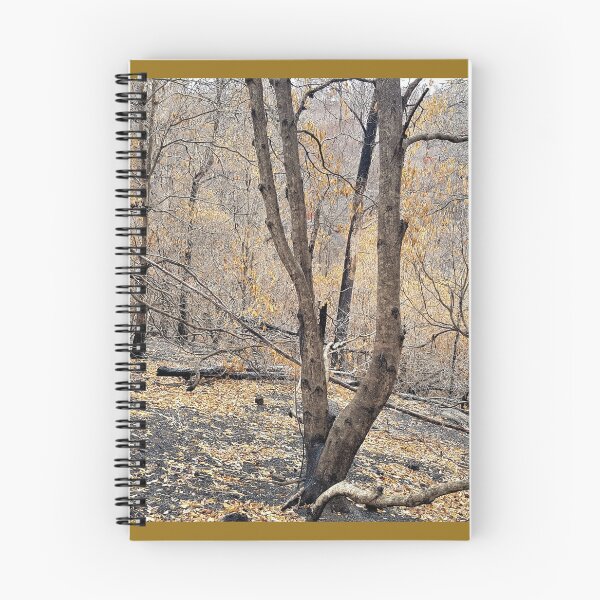 Item preview, 2019-2020 Bushfires. Bega Valley, NSW, Australia designed and sold by Cobargo South Coast.