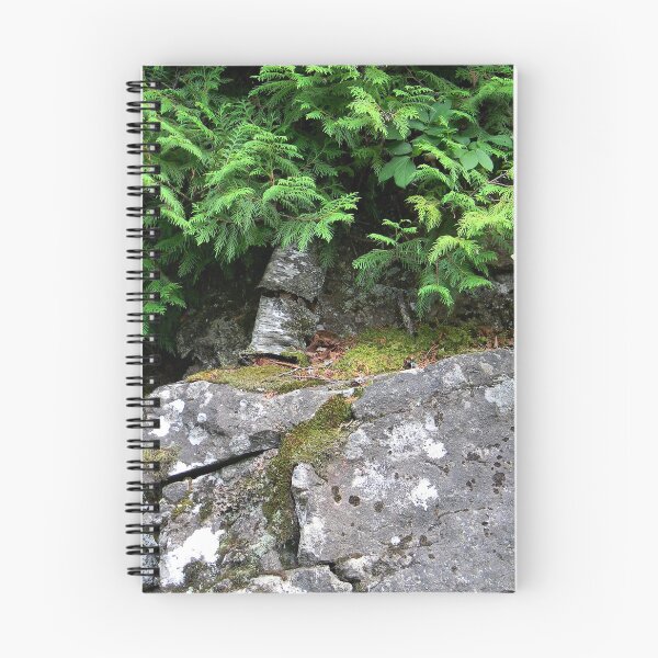 Item preview, Living Ledge designed and sold by PeaceofNShore.