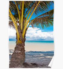 Exotic tropical beach with white sand and blue waters Poster
