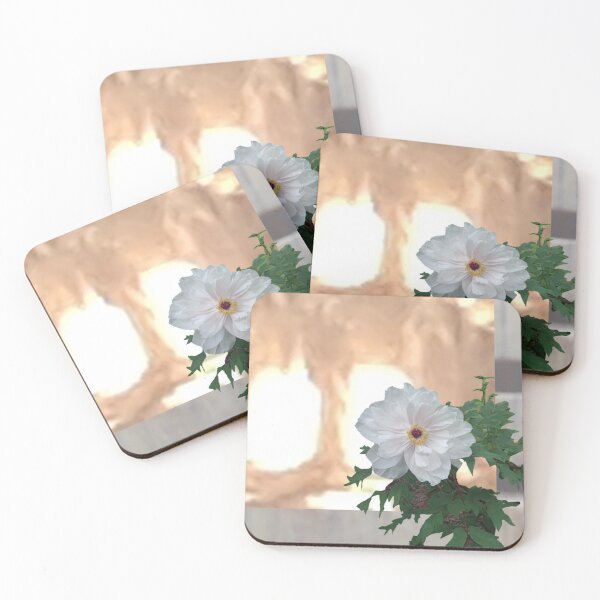 Item preview, Floral - White Peony  designed and sold by MulesParty.