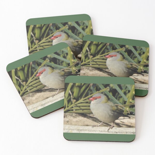 Item preview, Red Browed Finch. Bega Valley, NSW, Australia designed and sold by Cobargo South Coast.