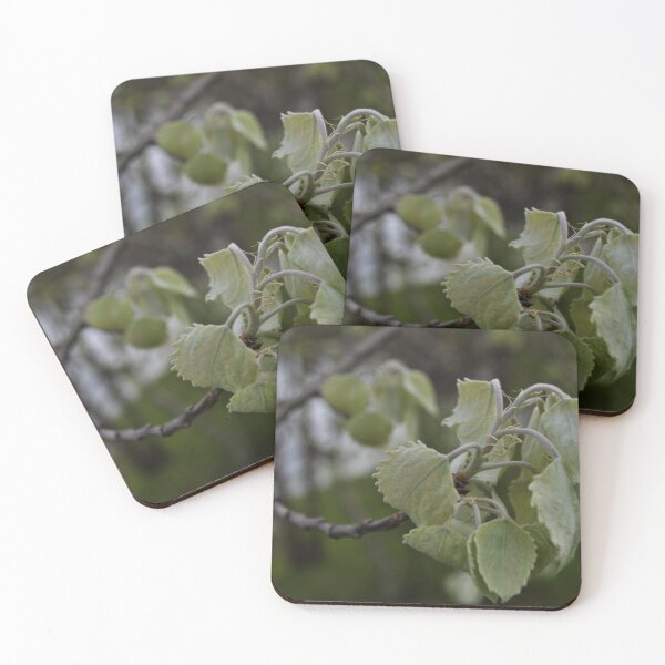 Item preview, Leaves designed and sold by BlindGeographer.