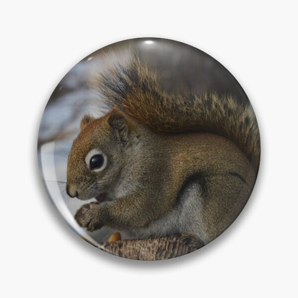Item preview, Squirrel designed and sold by BlindGeographer.