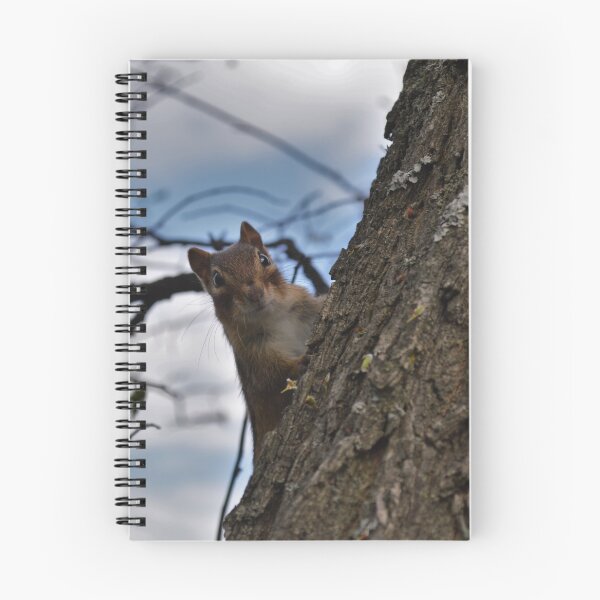 Item preview, Chipmunk designed and sold by BlindGeographer.