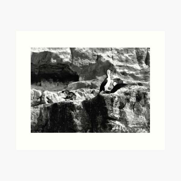 Item preview, Tasman Peninsula 2021 designed and sold by coldinspace.