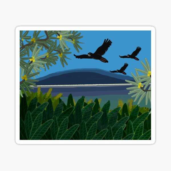 Wings Out Wide Coolangatta Cockatoos 2021 Sticker